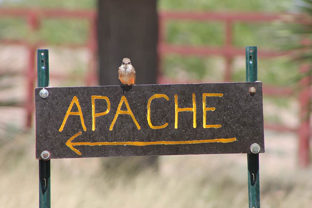 Apache cottage sign Apache cottage sign