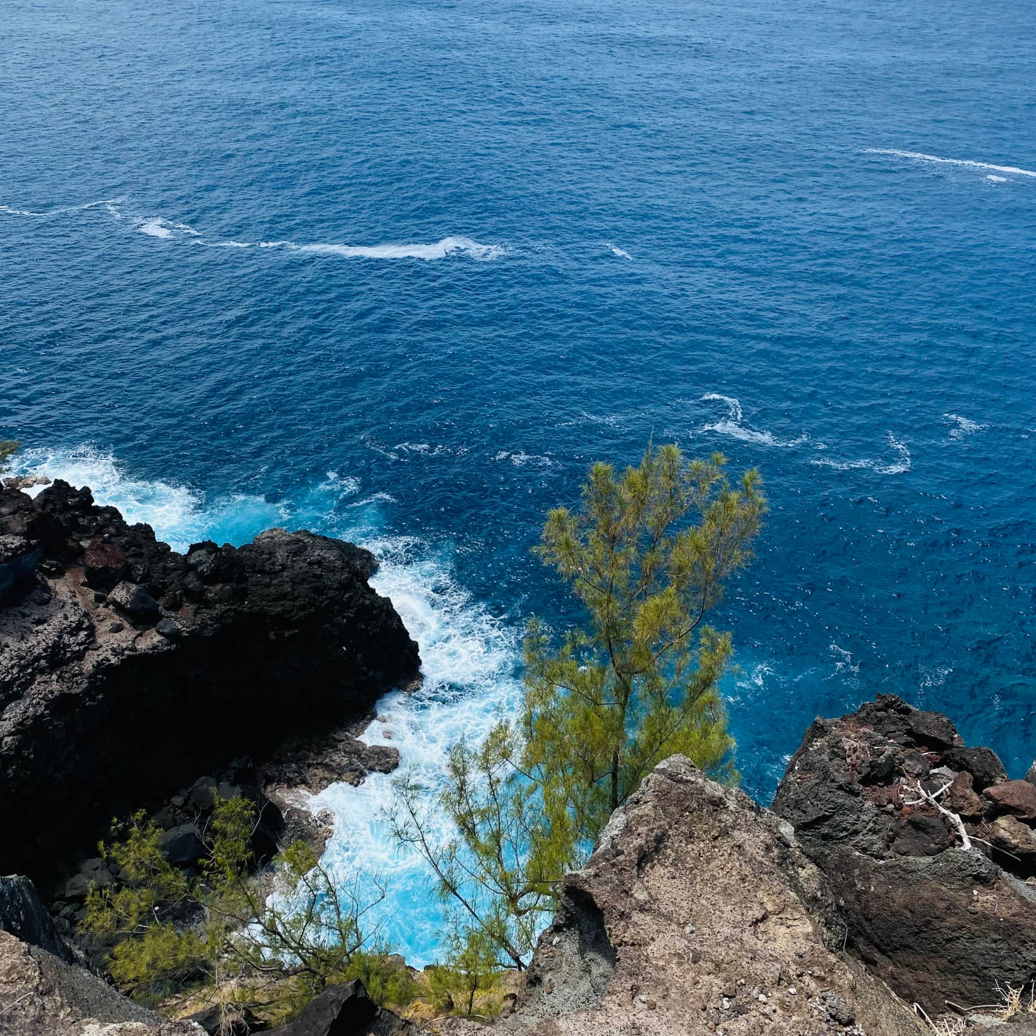 La côte sauvage La côte sauvage