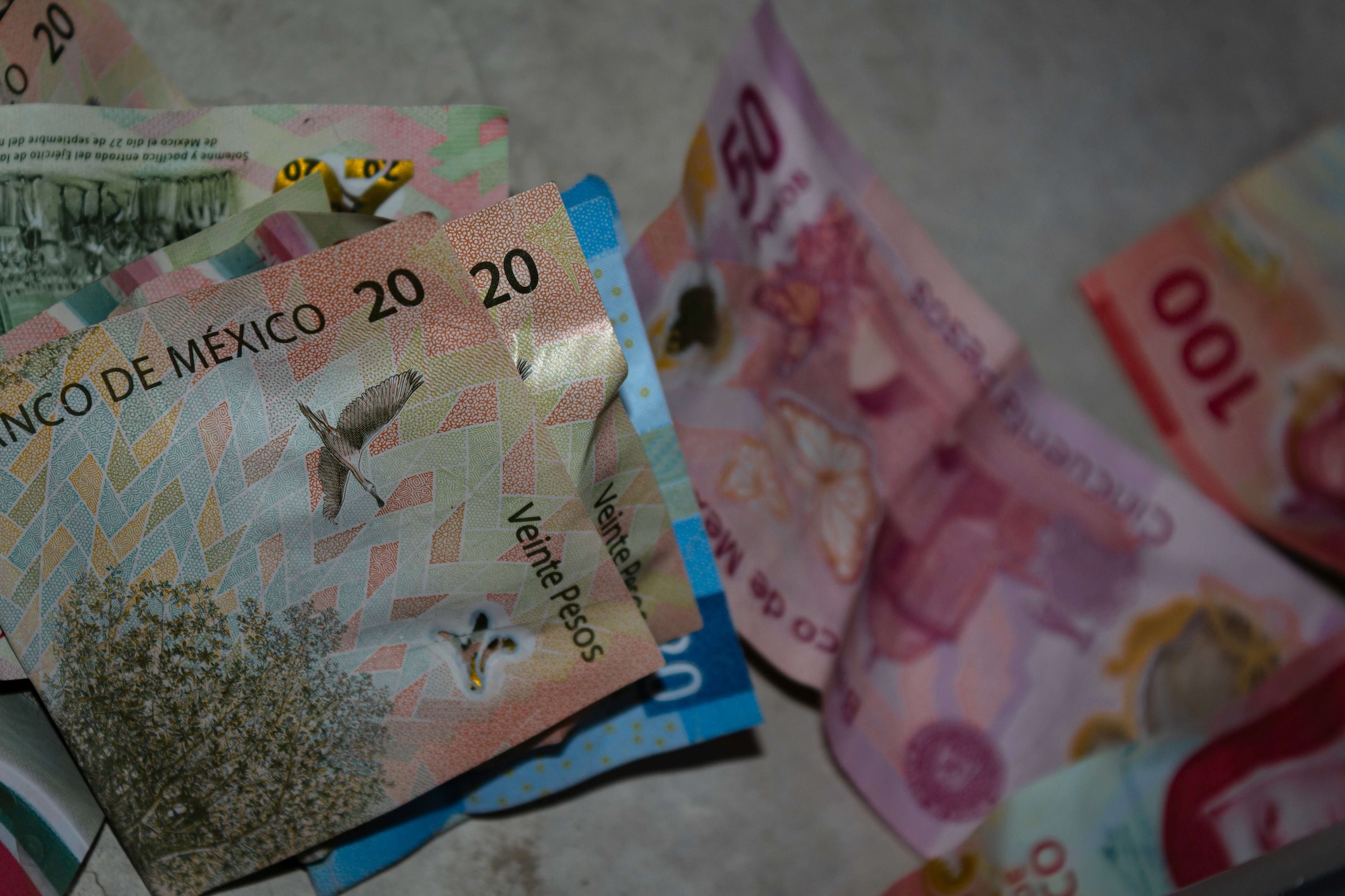 Close-up of Mexican peso bills, including 20, 50, and 100 peso notes