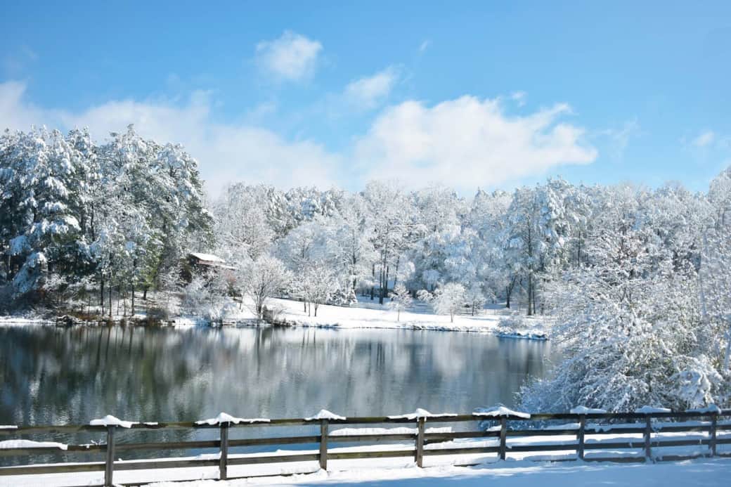 Lake View in Winter