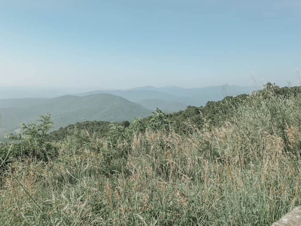 Favorite Activities for Kids in Luray