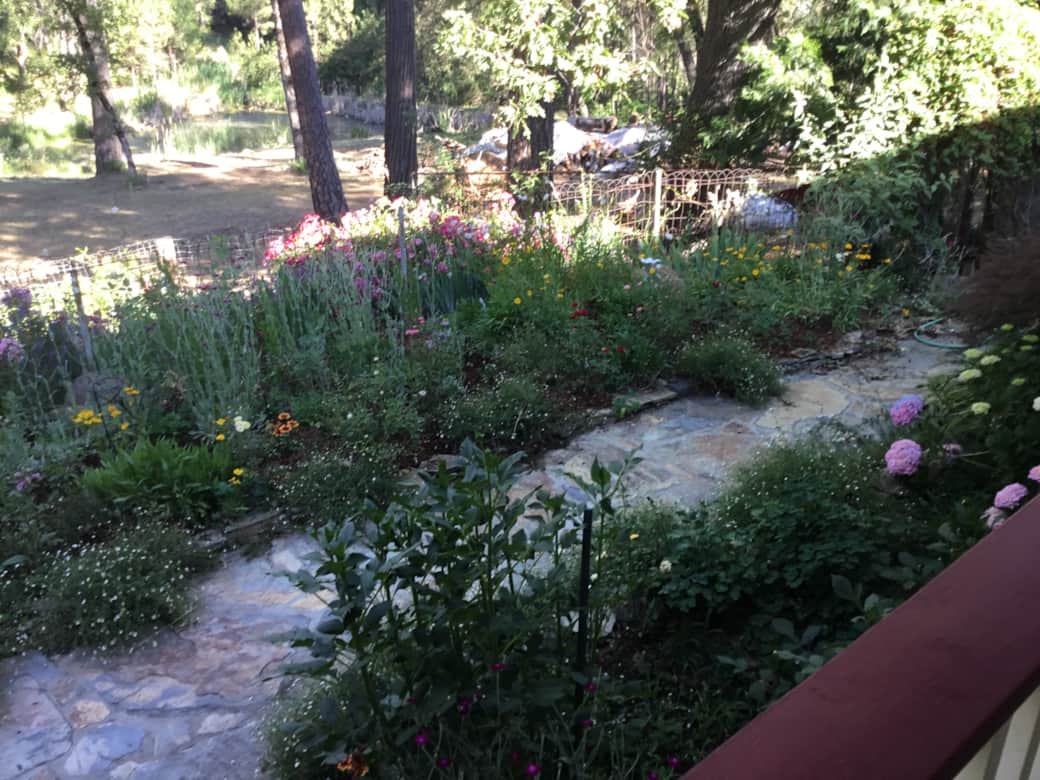English gardens and pond