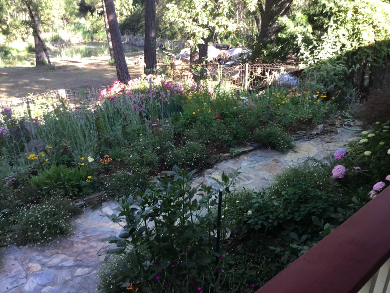 English gardens and pond