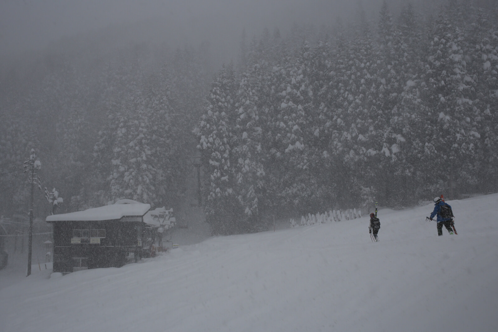 walking near the Nagasaka gondola in Nozawa Onsen