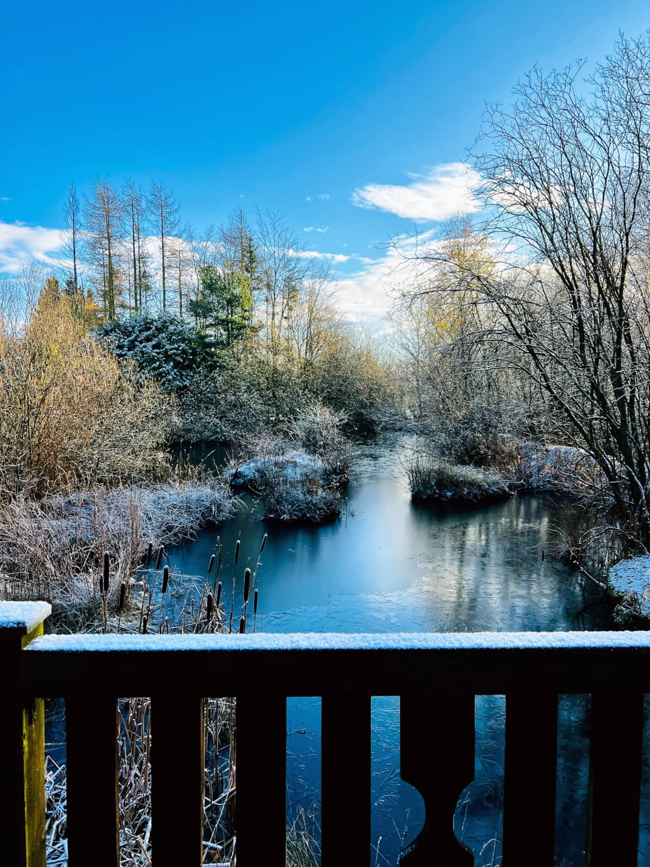 Winter view from your cozy home