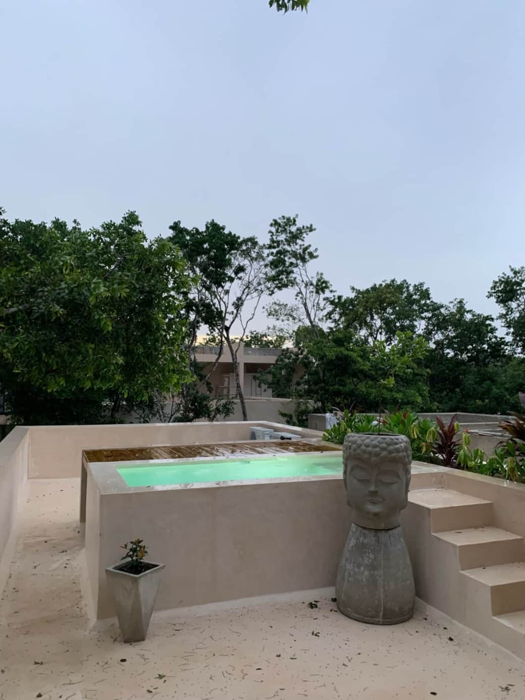 Jungle over Soaking Pool