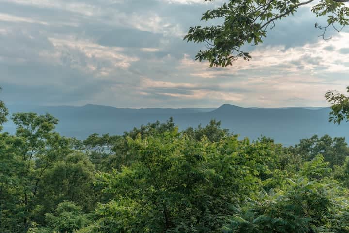 View 7