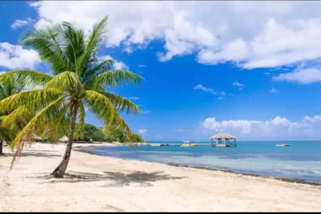 Beach at Palmetto Bay