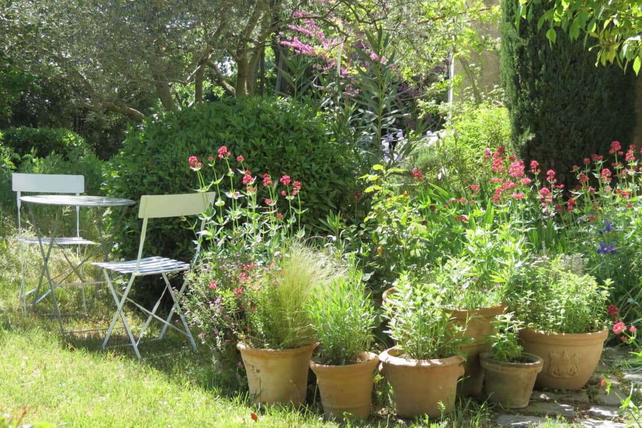 Table de jardin; jardin; fleur