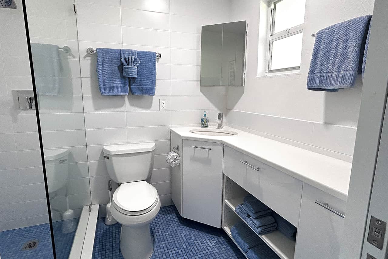 #17 - Newly renovated bathroom with large walk-in shower. No bathtub is in the unit.