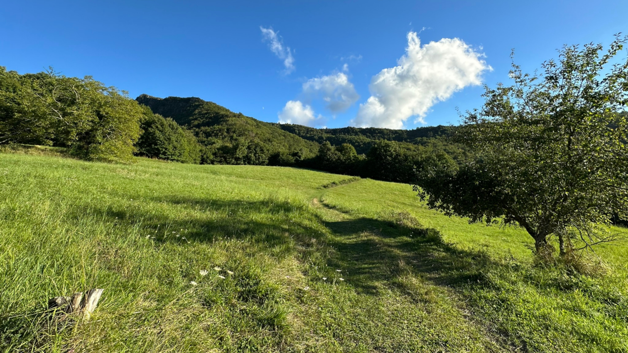 paessaggi