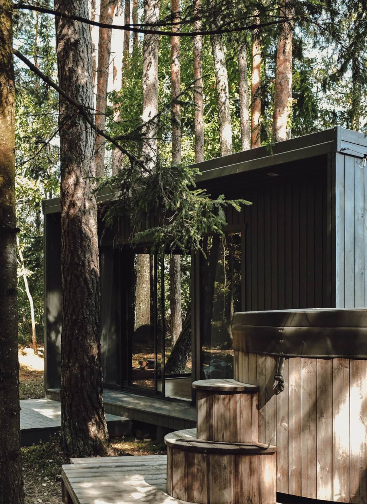  Forest therapy - a cottage under a pine tree