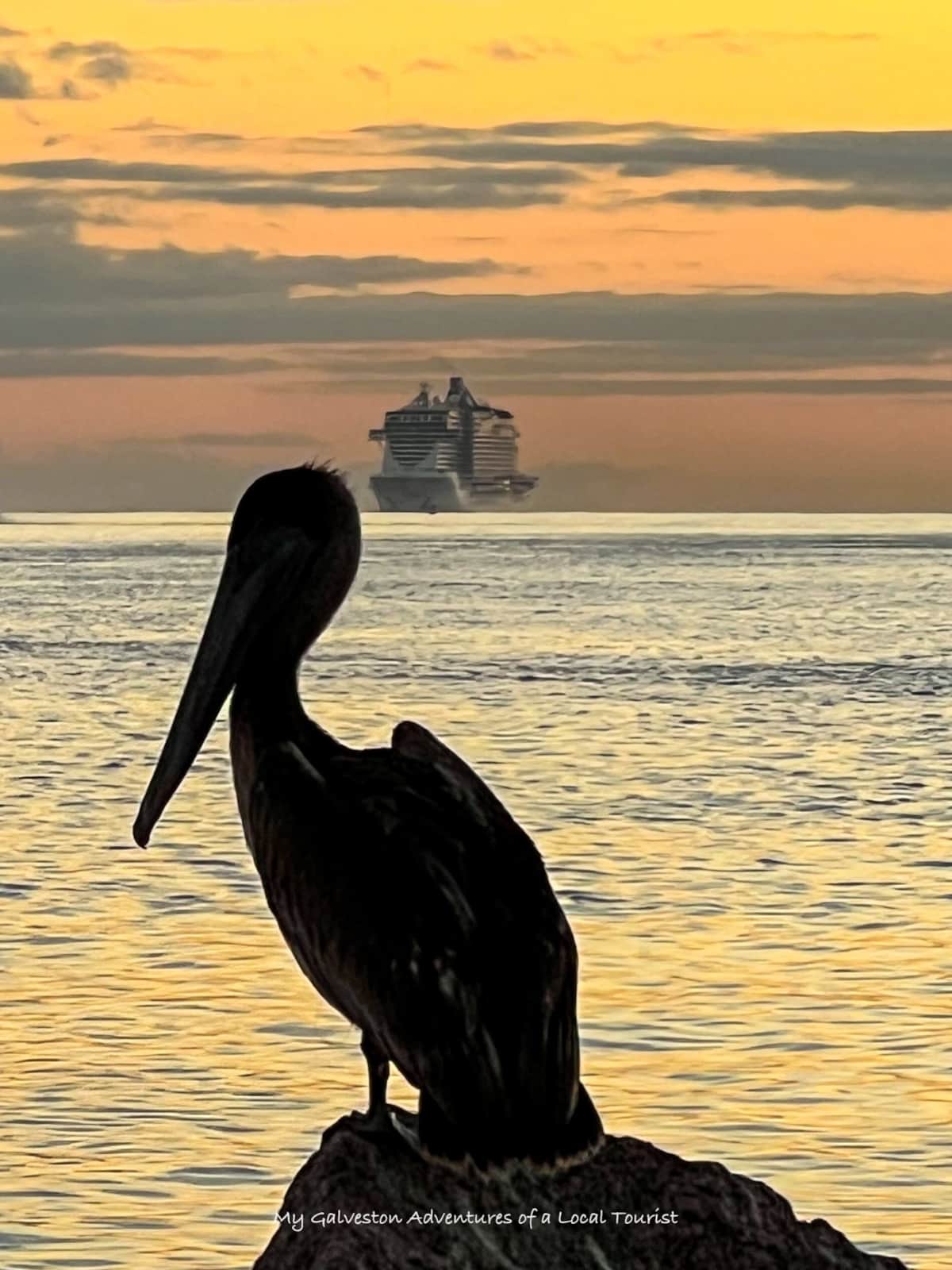 Galveston vacation itinerary featuring beaches, The Strand, Moody Gardens, and White Magnolia Galveston stay