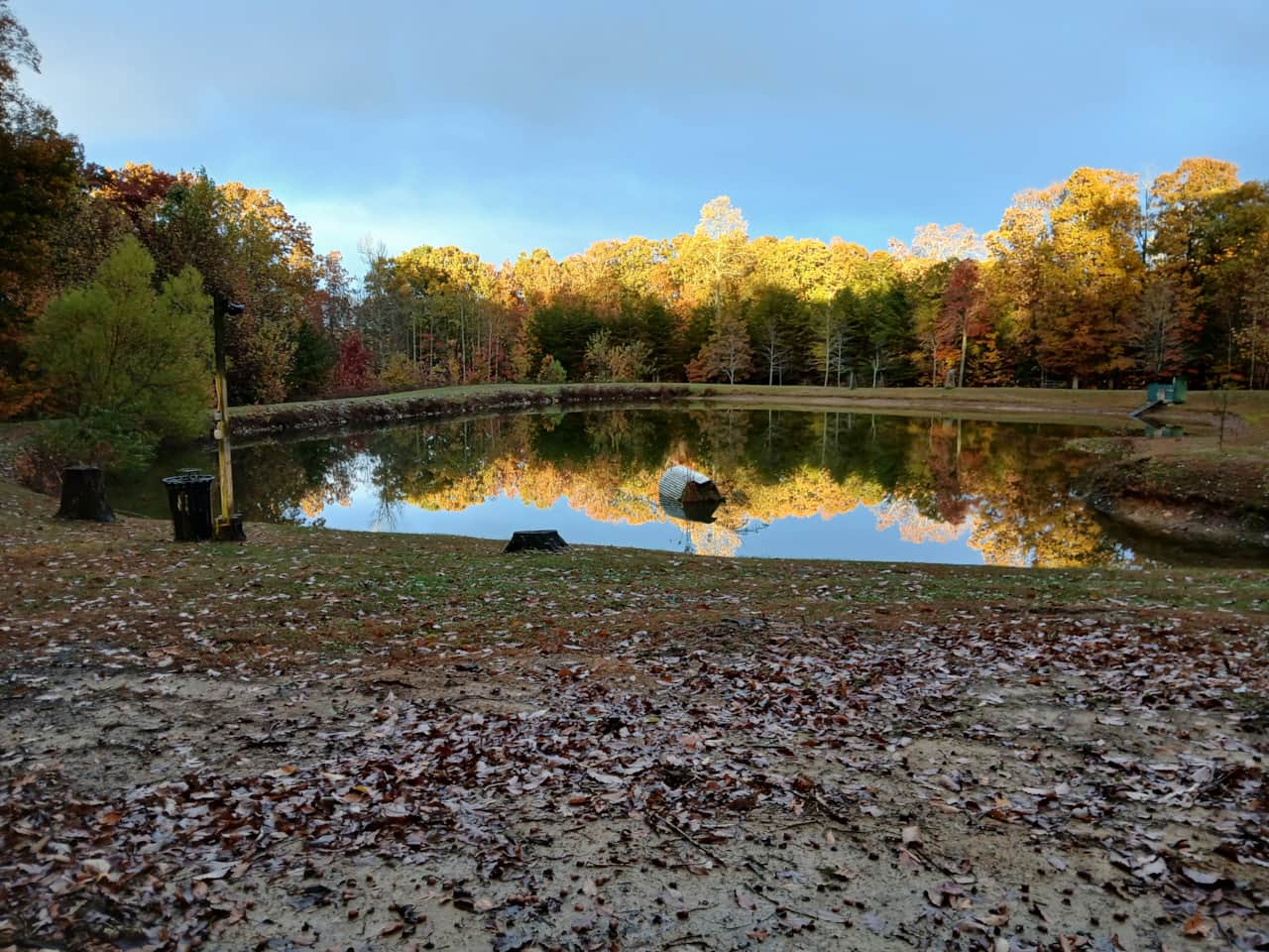 Pond 2025-11 (2)