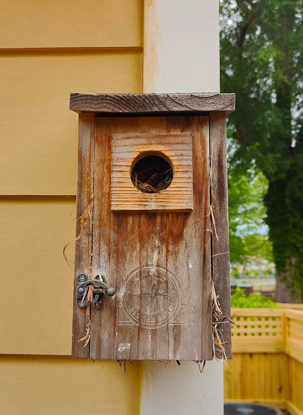 Namesake Bird House (Currently Occupied)