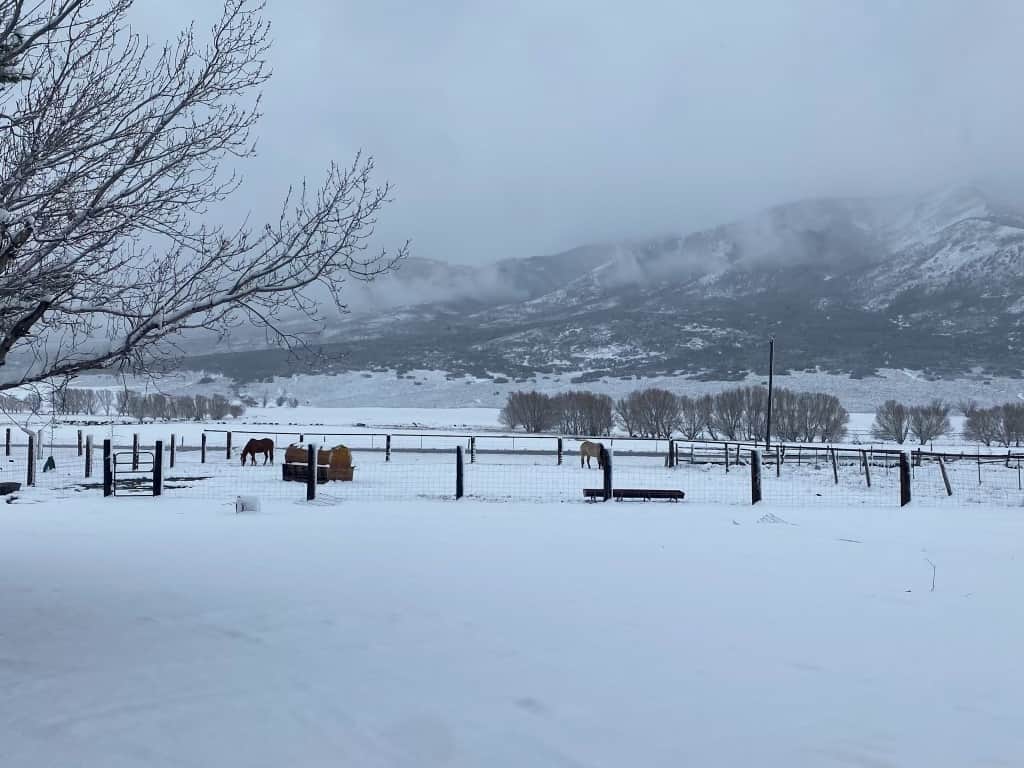 winter at the ranch