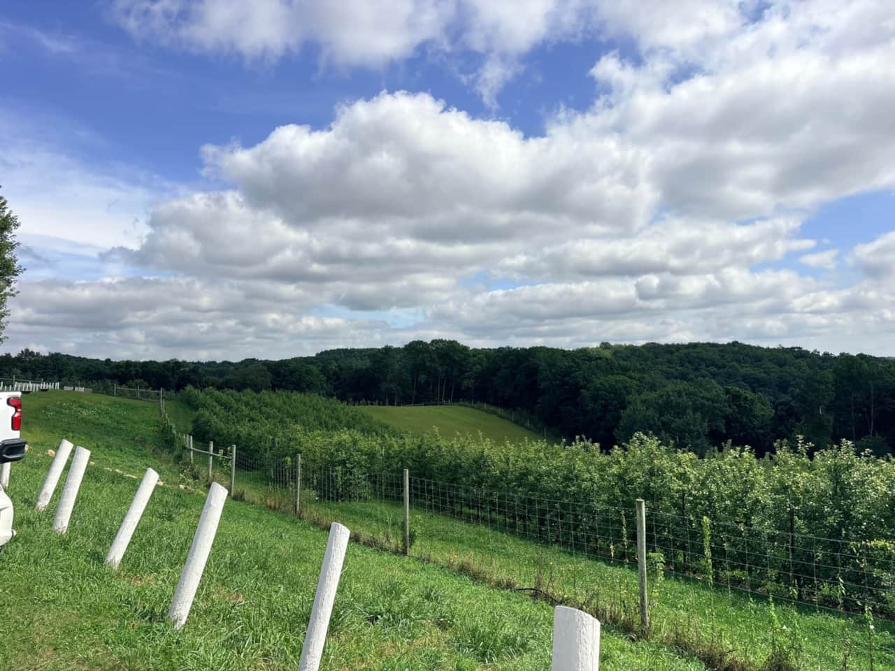 Orchard Season