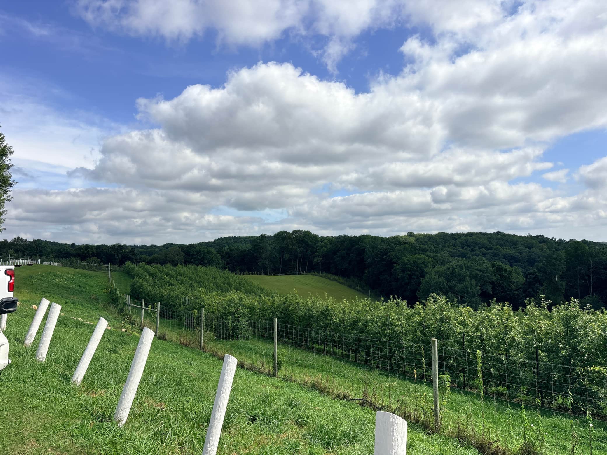 Orchard Season