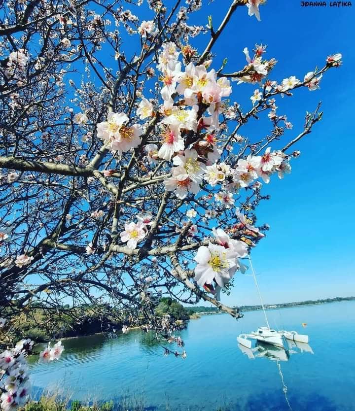 https://l.icdbcdn.com/oh/e5f843e1-3d46-45f0-8193-5b7634c20ed8.jpg?w=2080-0