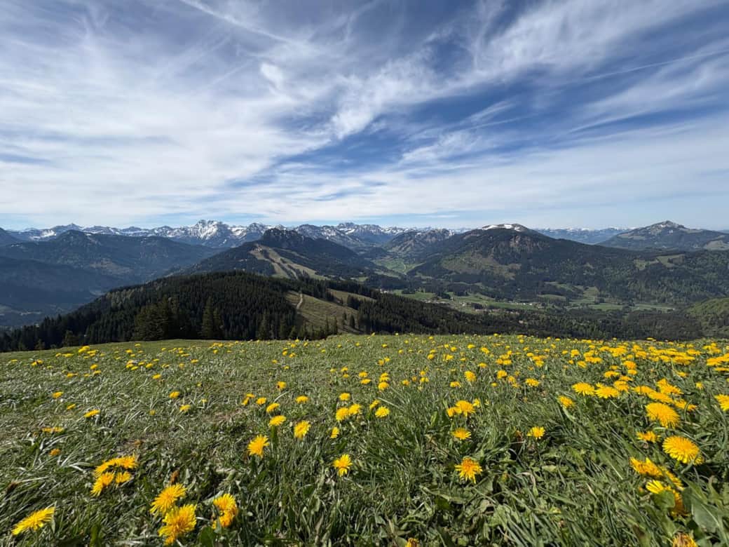 Umgebung - Aussicht vom Hausberg Reuterwanne