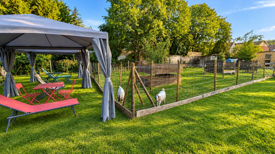 Jardin du Domaine EnergyZen à Bischoffsheim, près d'Obernai en Alsace, avec deux tonnelles privatives et un enclos accueillant deux chèvres naines.