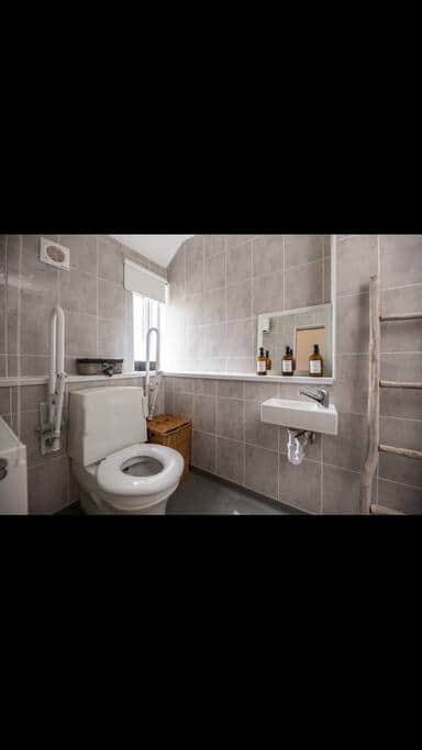 Grab bars for toilet