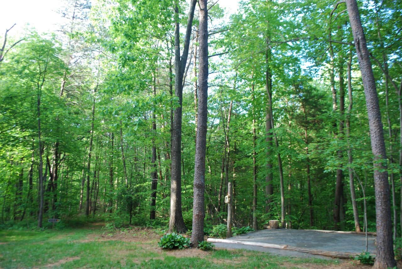 The large tent pad