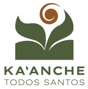 Ka'anche