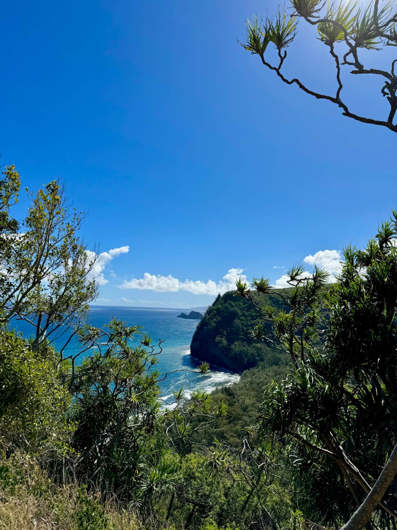 Pololu Valley look out
