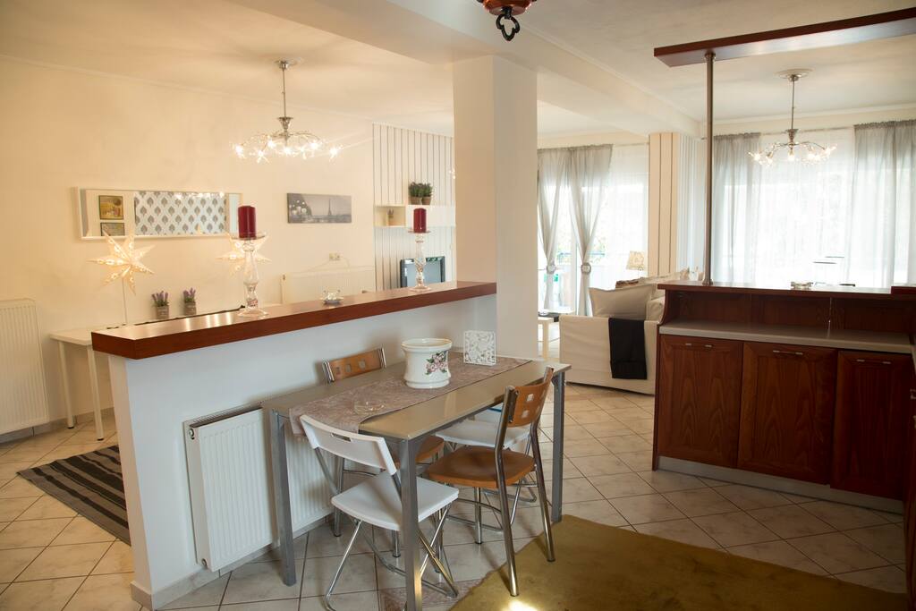 Luxury City Center Apartment