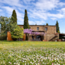 Rental image
