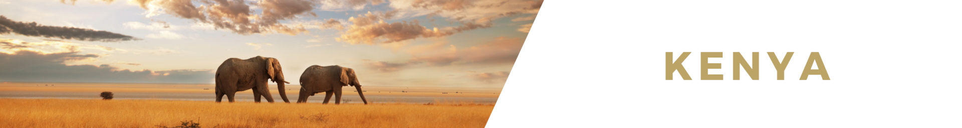 Kenya luxury safaris