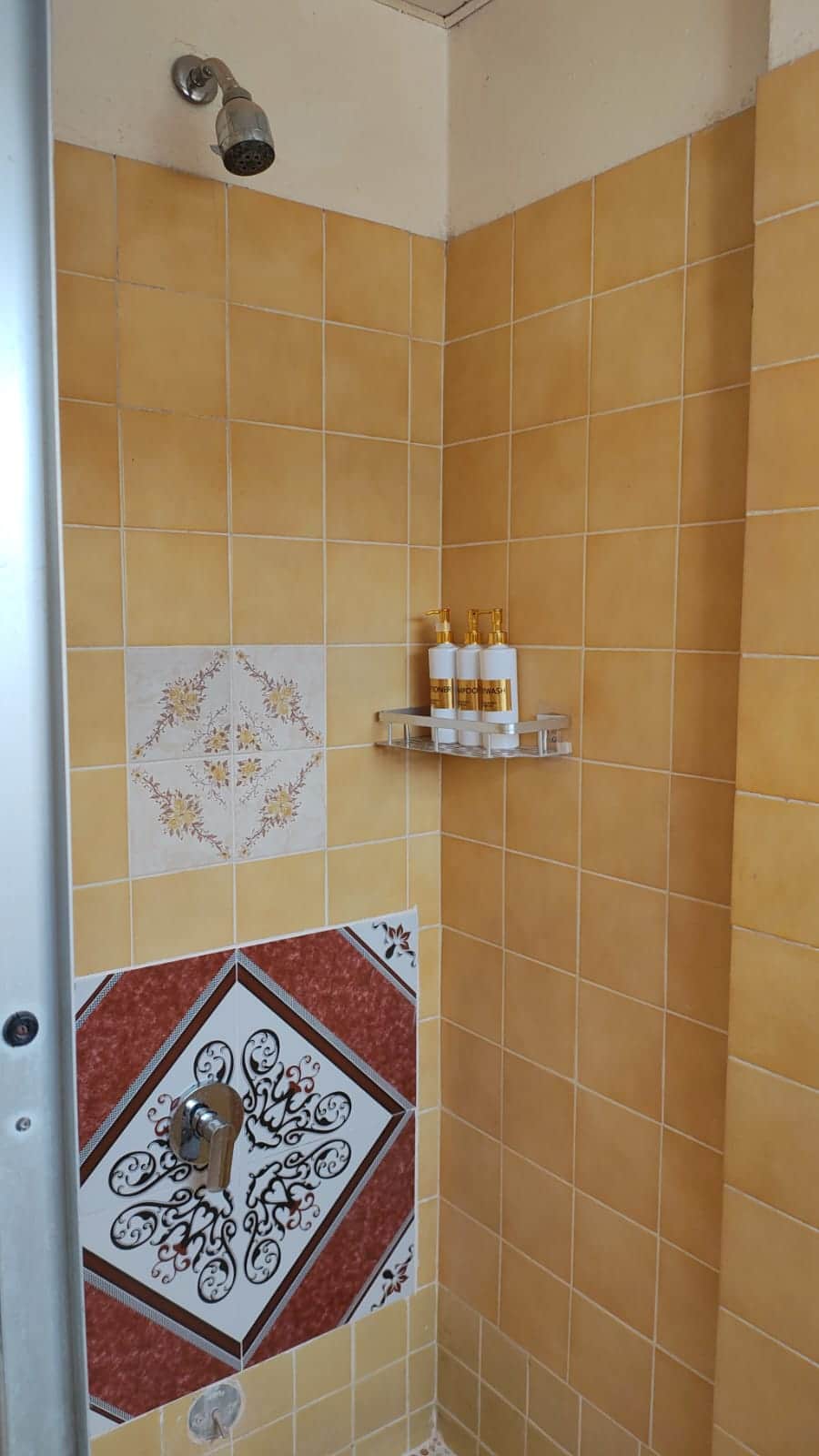 WhatsApp Image 2025-11-08 at 15.45