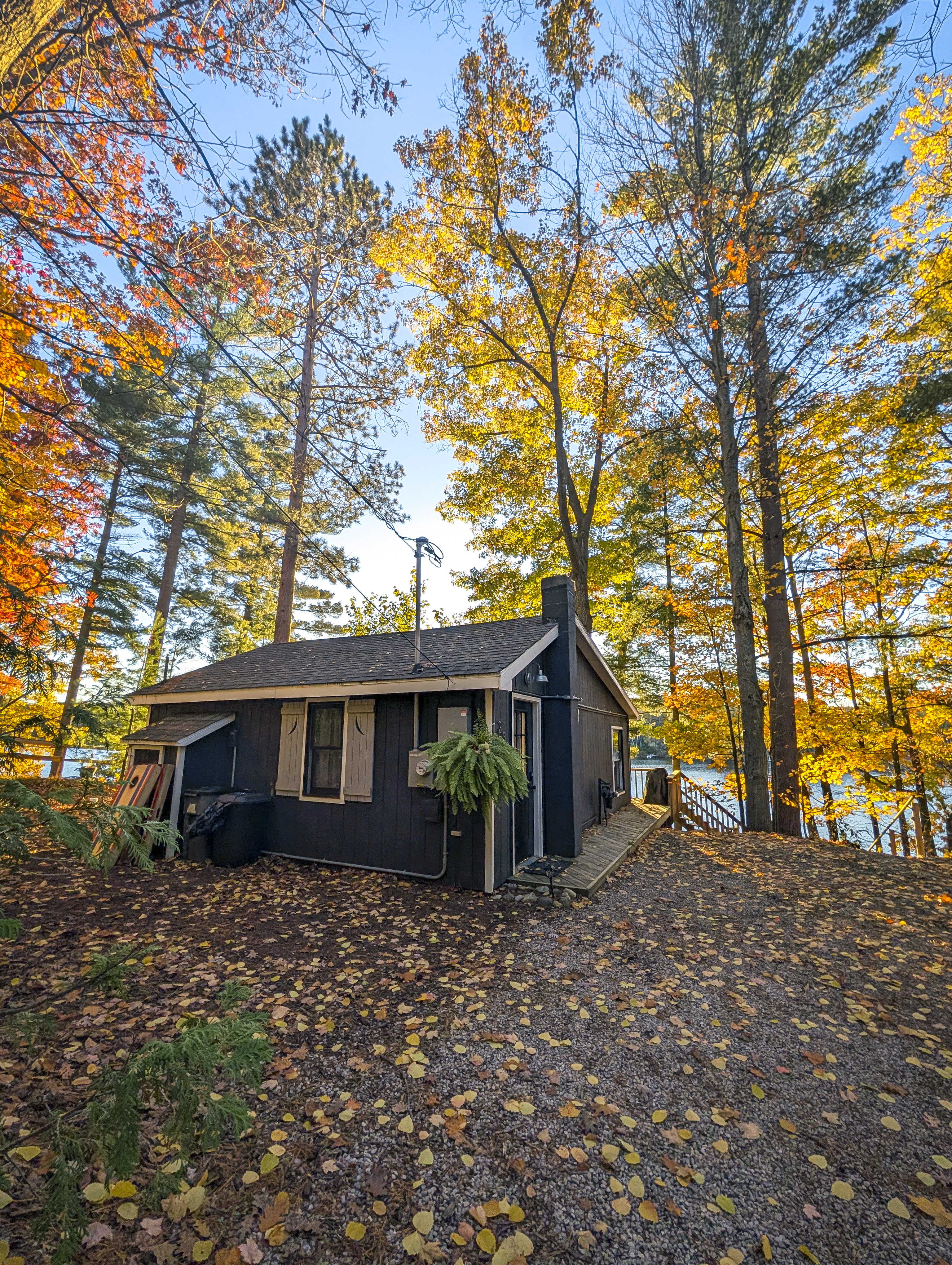 Enjoy the Fall Colors