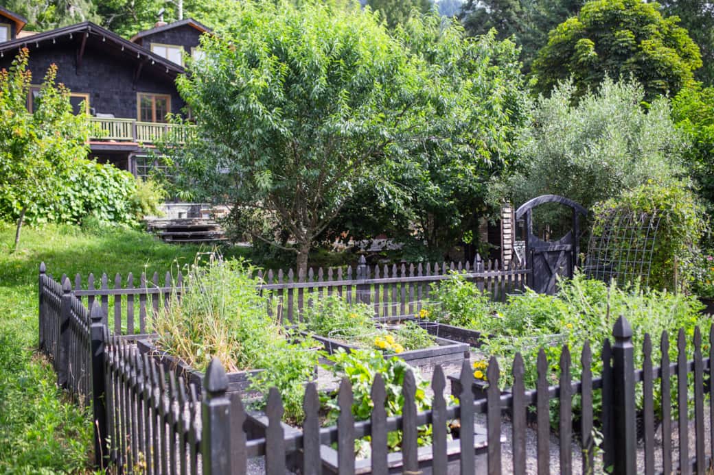 Garden and house morning