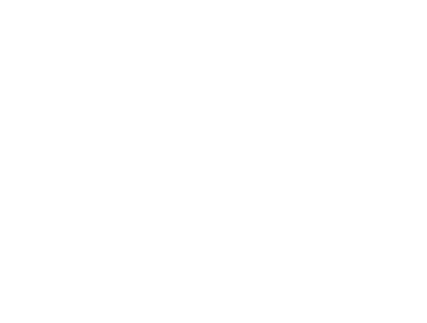 SE