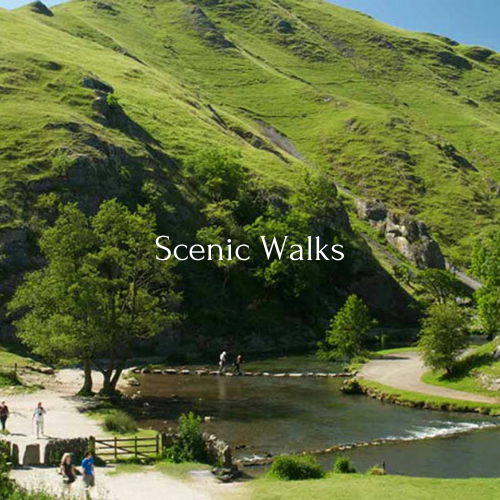 Scenic Walks