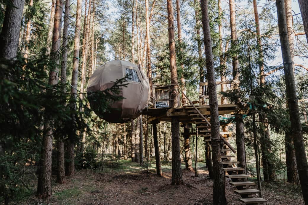Nature Calls - palapinė medyje