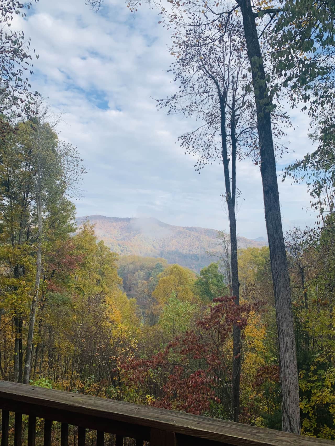 Mountain Gem - Fall view while leaves are changing, mid October through November