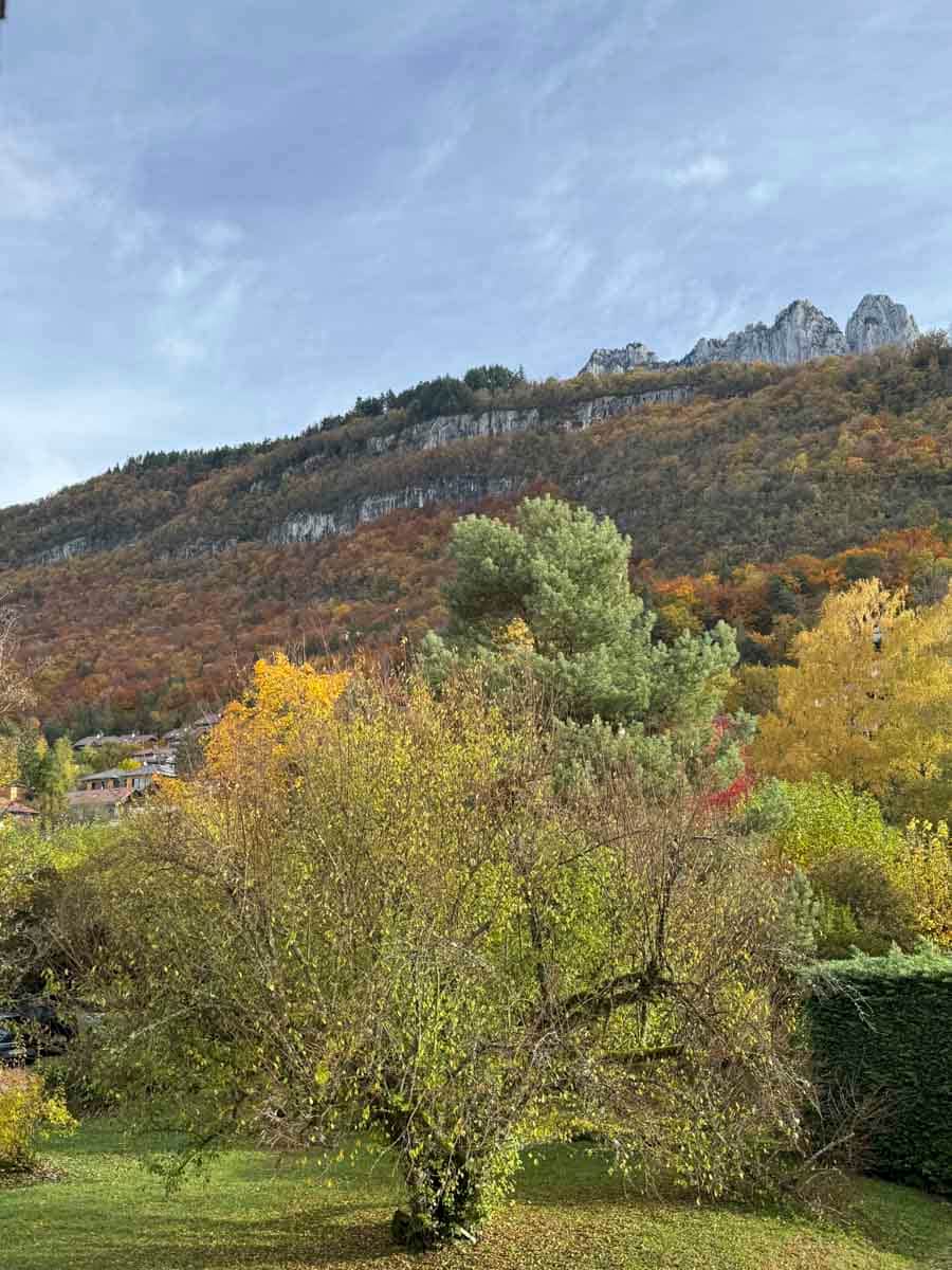 Côté montagne : exposition Est depuis la chambre avec vue sur le jardin et les Dents de Lanfon Côté montagne : exposition Est depuis la chambre avec vue sur le jardin et les Dents de Lanfon