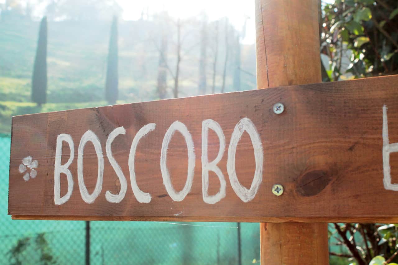 BoscoBo