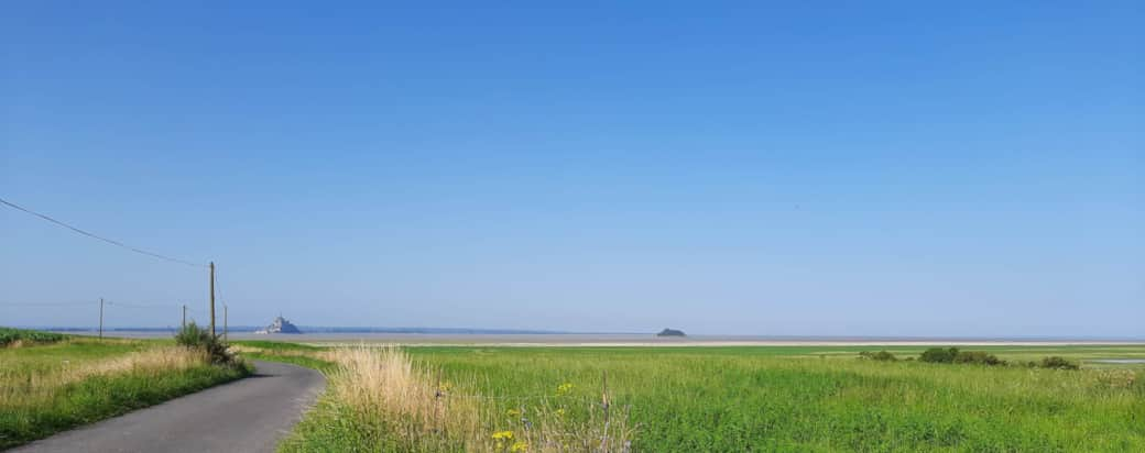 Genêts Vue Mont Saint Michel