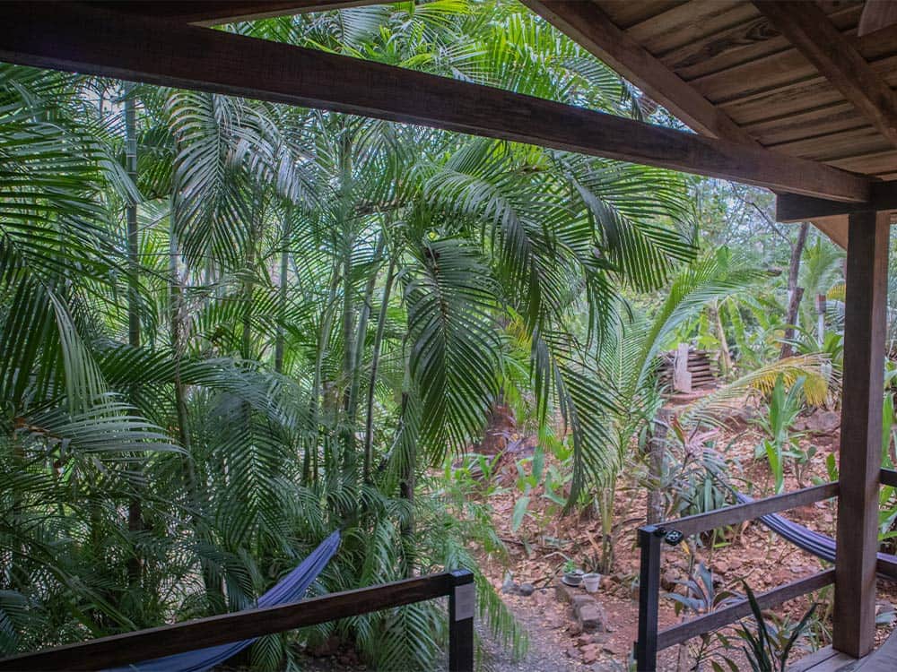 Hotel glamping flor y bambu log cabin baula 3
