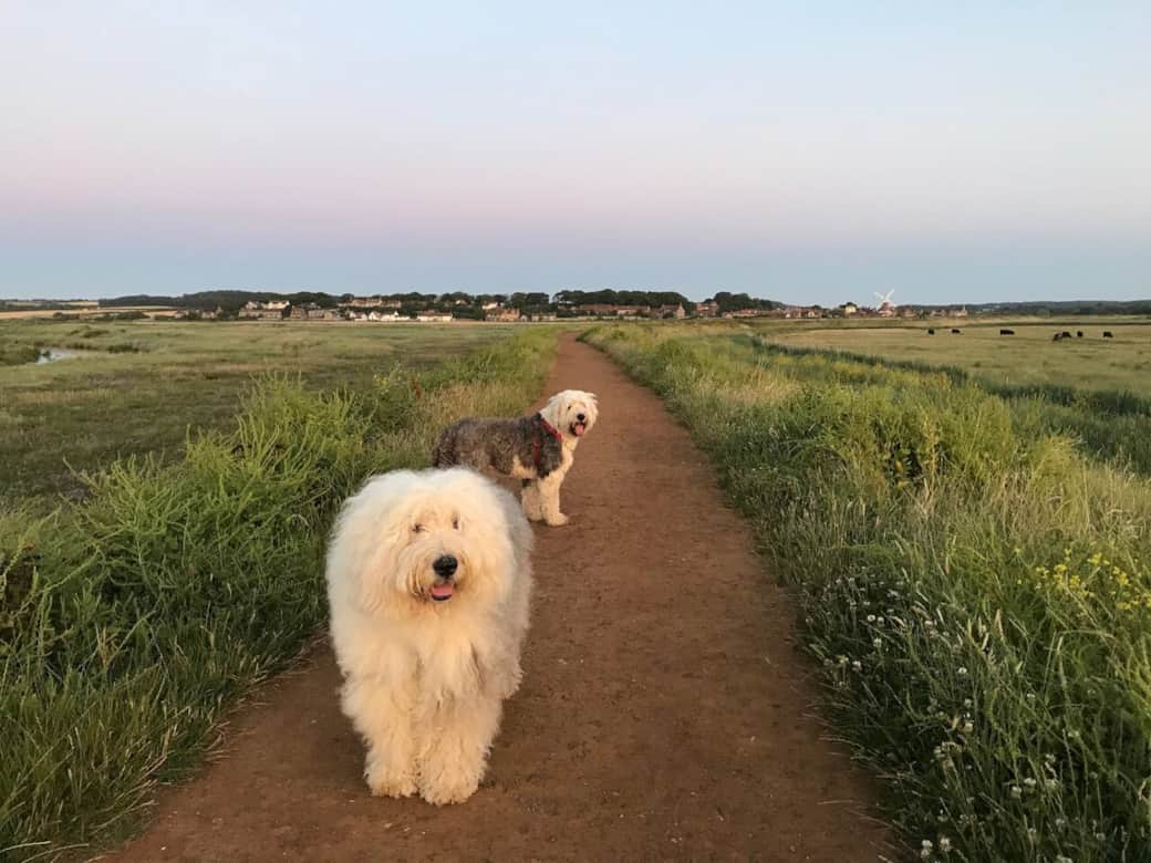 Walking from Blakeney to Cley