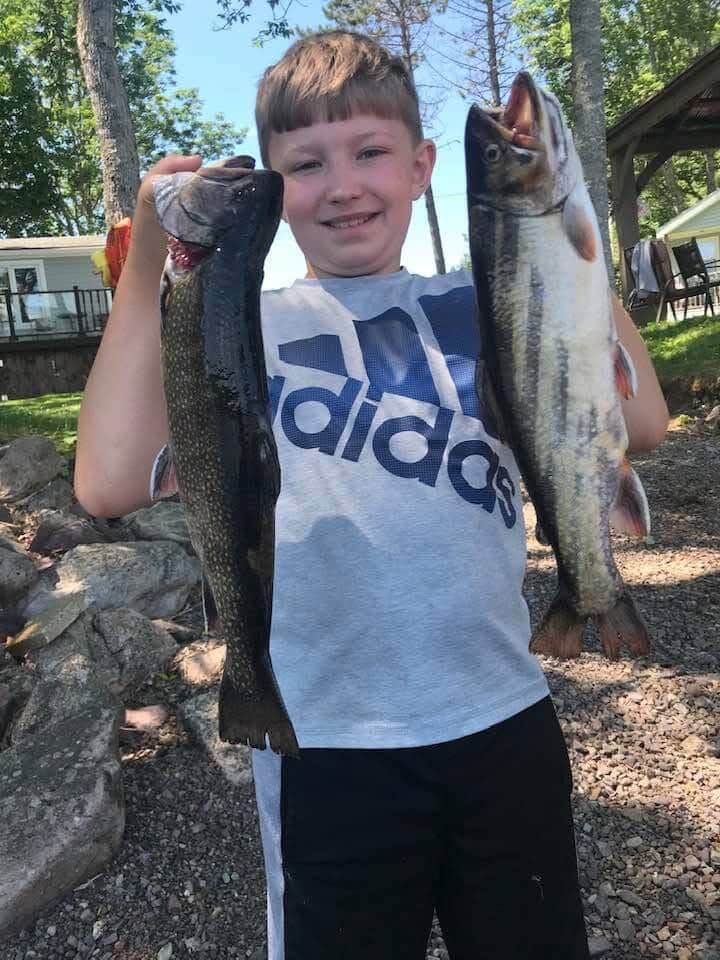 Trout in Lochaber Lake
