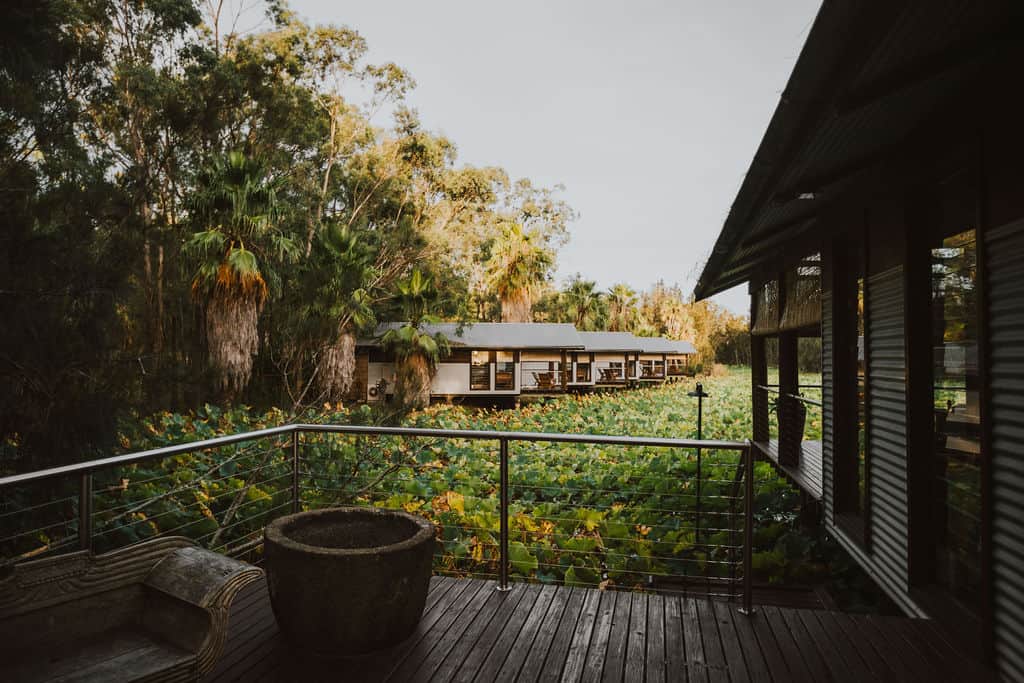 The boathouses perch effortlessly over the tranquil waters of the lotus pond The boathouses perch effortlessly over the tranquil waters of the lotus pond