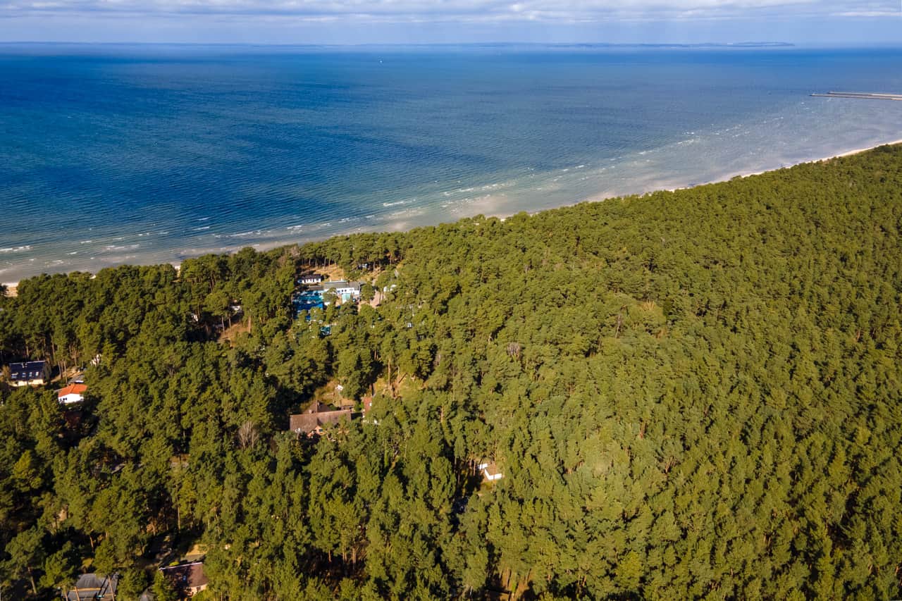 Lage im Küstenwald am Meer