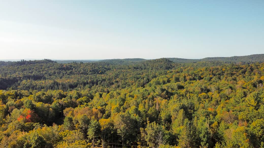 View of the surroundings