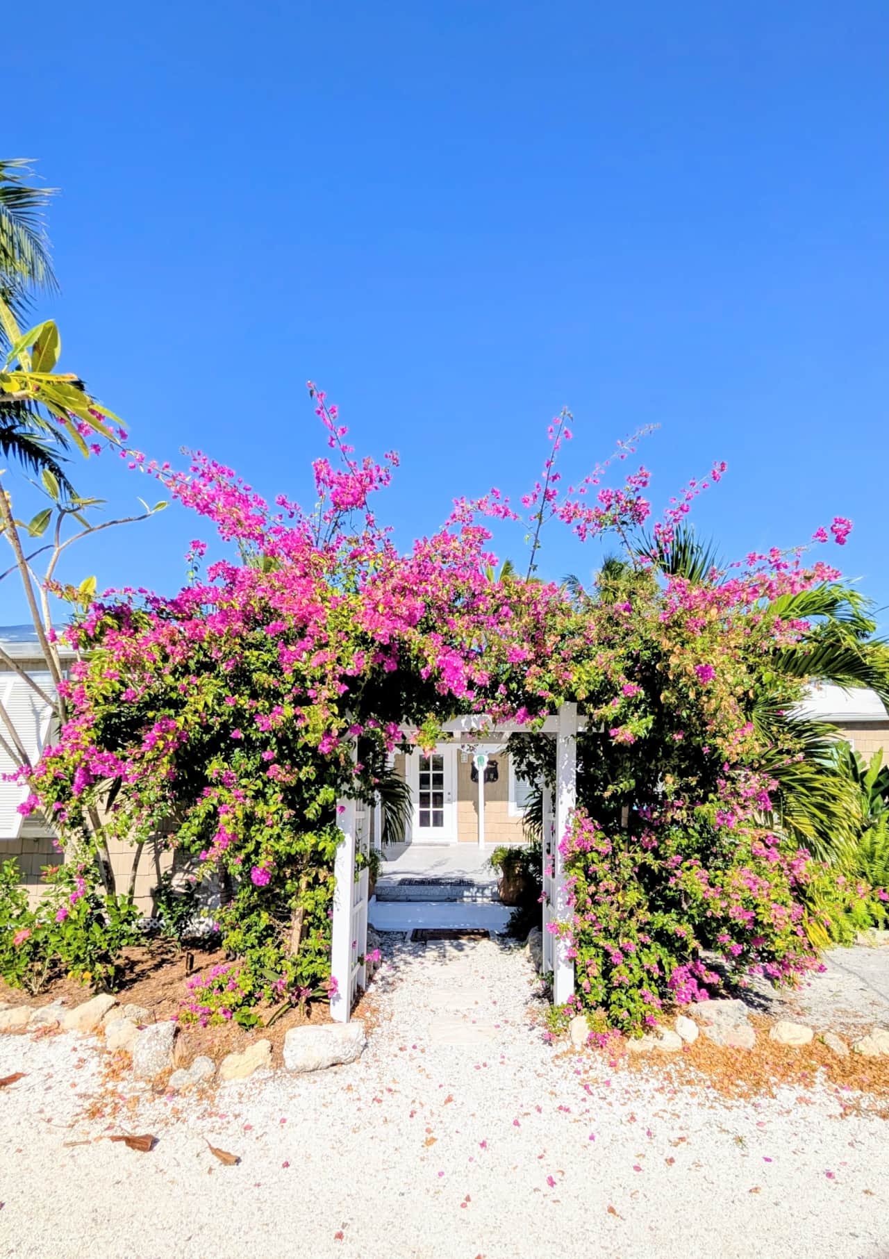 Tropical entrance