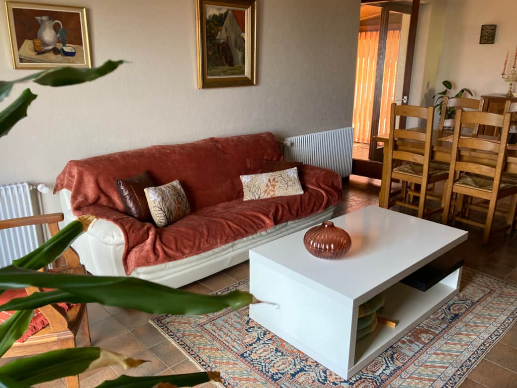 The sofa and coffee table in the living room